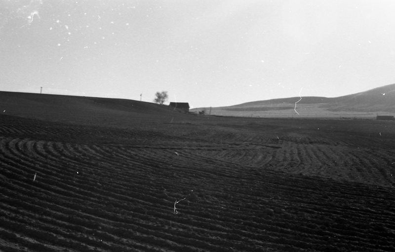 1980 Agriculture, Furrowed Field 01