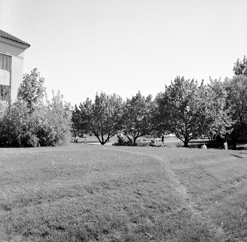 1978 Campus in Spring 04