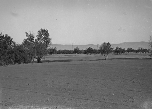 Island City, Golf Course 5