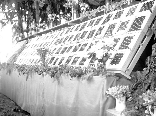 Cove, Cherry Fair Display 14