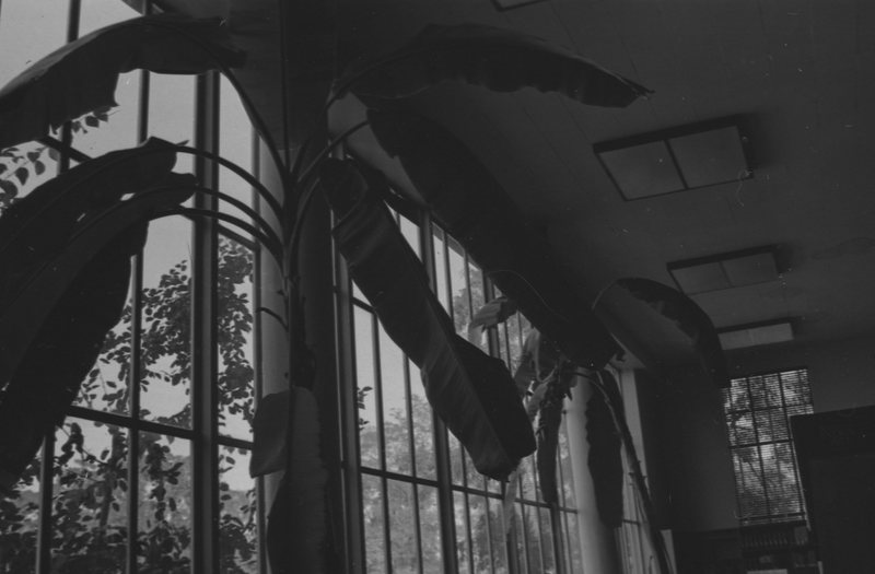 1975 Walter M. Pierce Library, Interior 05