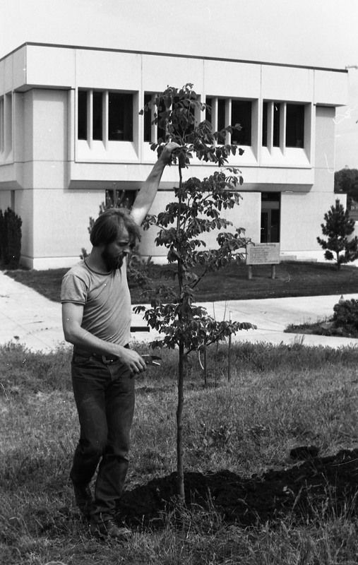 1981 Campus Tree Plantings 07