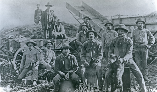 GRV, Threshing Operation 9