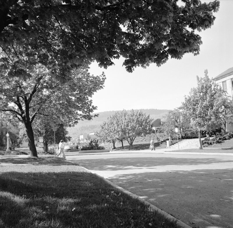1978 Campus in Spring 08