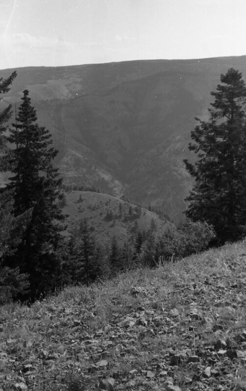 1984 Oregon, Blue Mountains 02