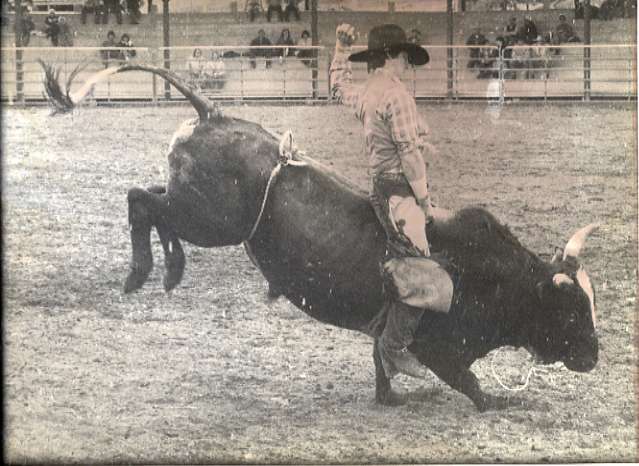 1984 Rodeo Club, Bull Riding 03