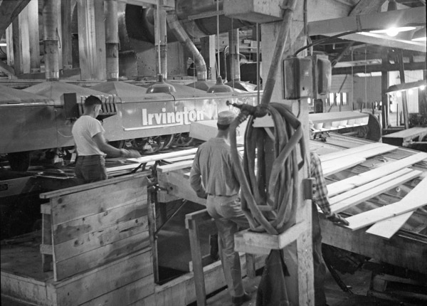 La Grande, Mt. Emily Sawmill 11