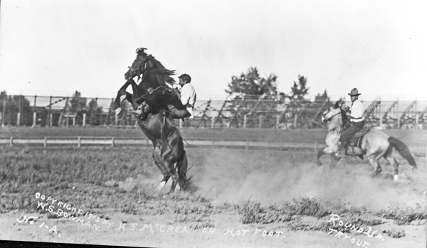Rodeo, Bucking Bronco 5