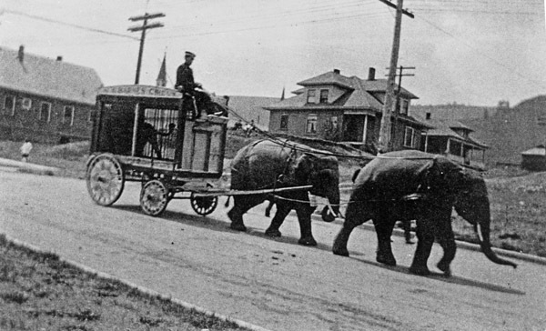 La Grande Parade, Circus 2