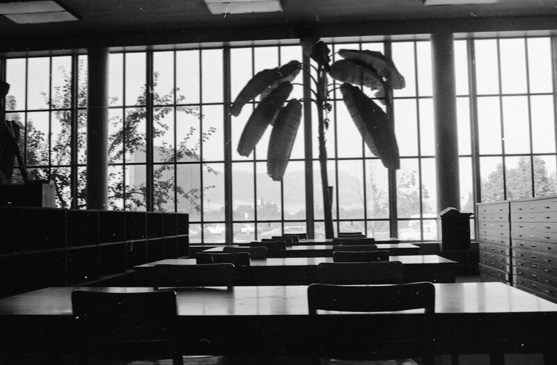 1975 Walter M. Pierce Library, Interior 06
