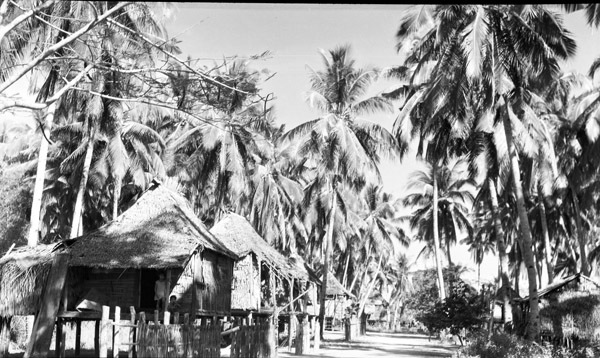 Barrio on Nearby Island 2
