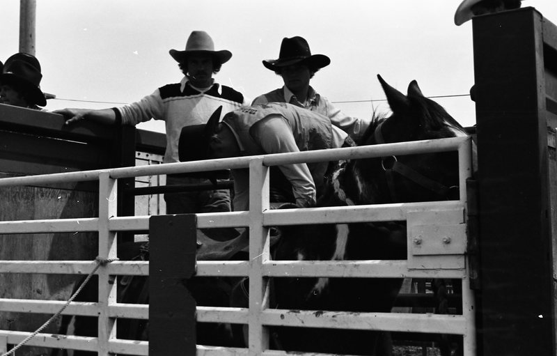 1981 Rodeo, Cowboys in Chute 20