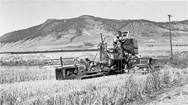 Alicel, Farming 6