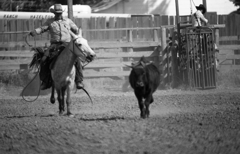 1981 Mule Rodeo, Roping Pairs 02