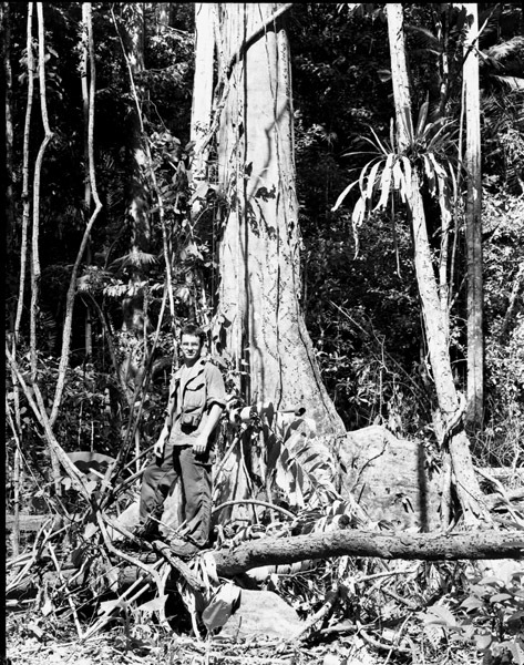 Fred Hill at Base of Tree