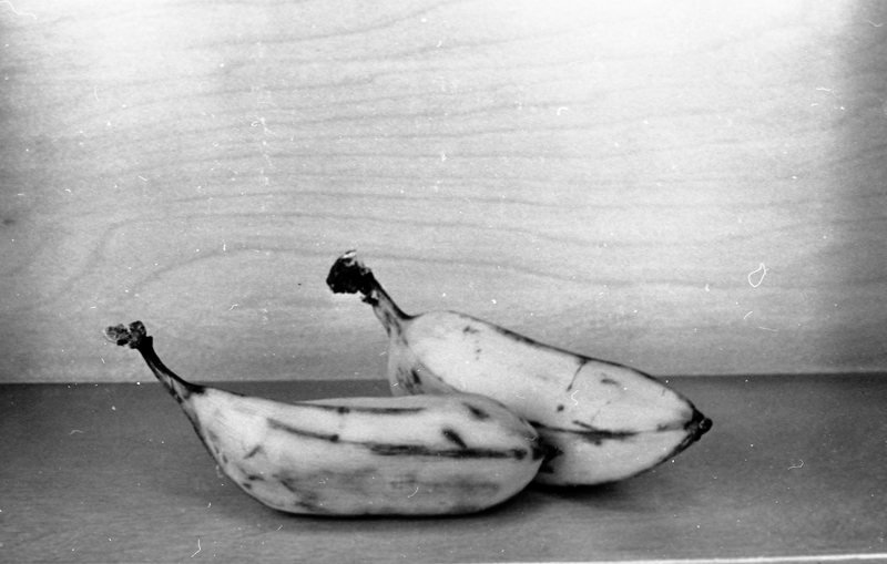 1976 Employees, Conrade Head and Jack Evans Discussing Bananas 01
