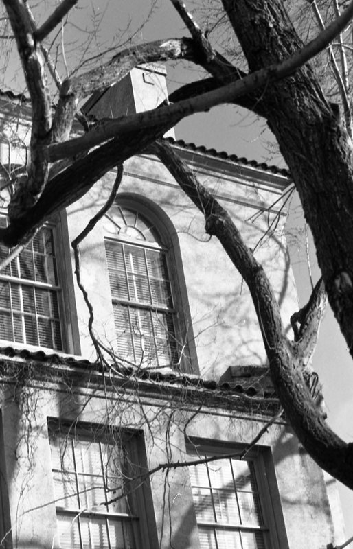 1987 Ackerman Elementary School, Windows 01