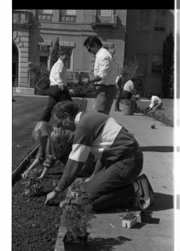1989 Employees, Planting 07