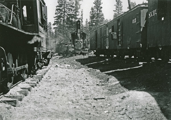 Sumpter, Trains