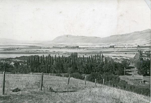 Cove, Hilltop View 4