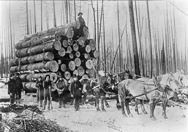 Logging Operation, WA 2