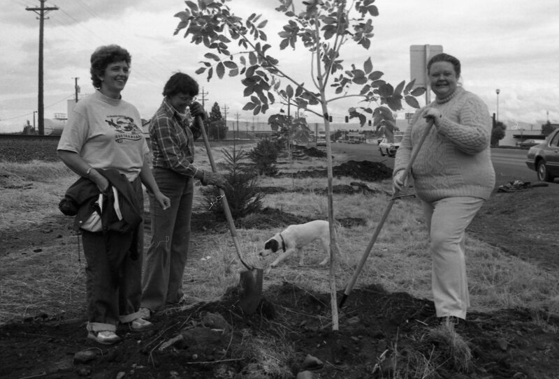 1985 Soroptimist Tree Plantings 08