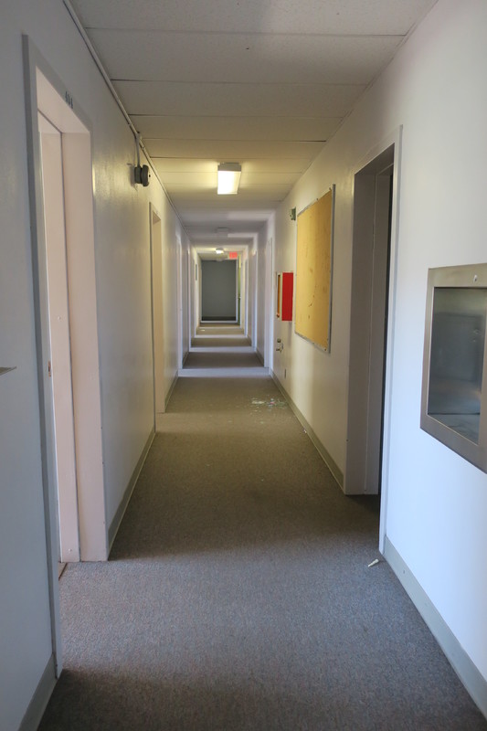 Dorian and Hunt Hall 523