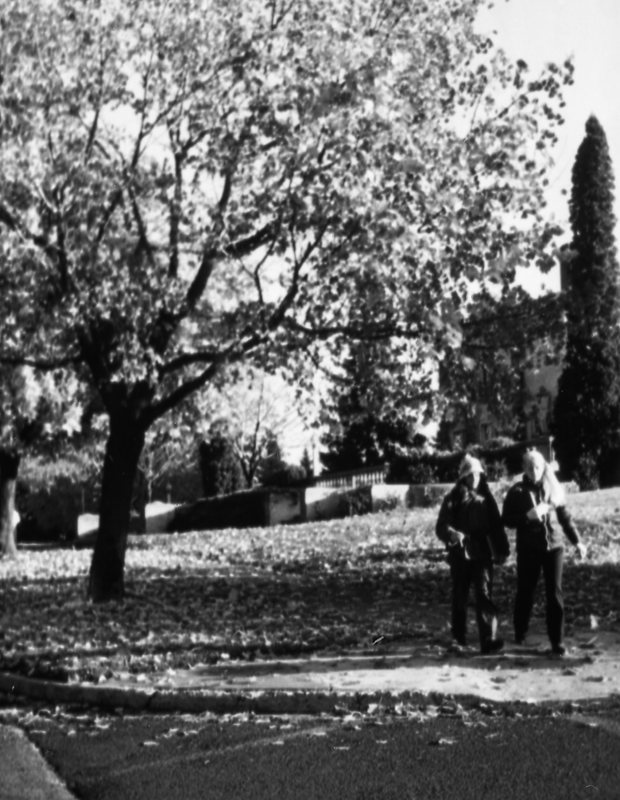 1984 Students, Walking 12