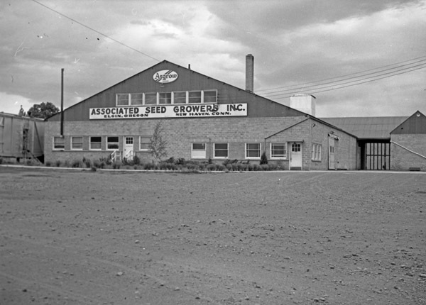 Elgin, Asgrow