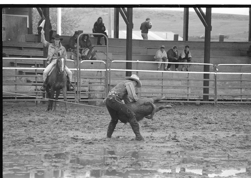 1991 Eastern Rodeo, Roping 05