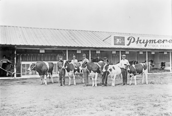 Union, Phymere Stock Farm