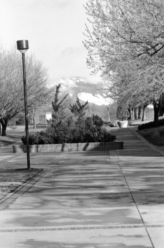 1987 Campus, Planting Beds 02