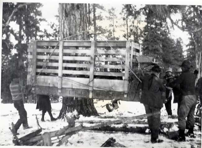 1912 Oregon, Elk Imports 4