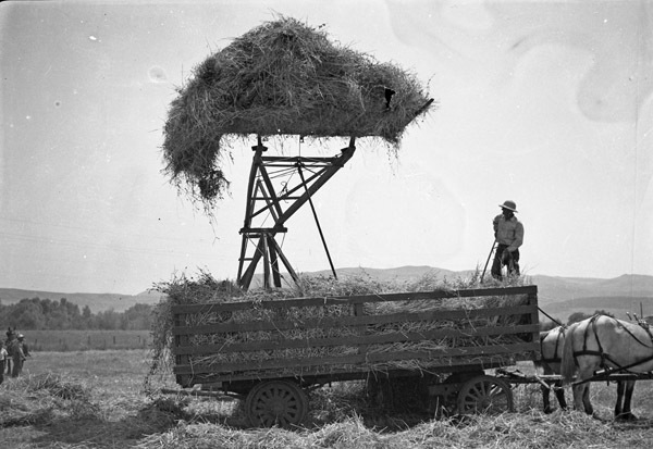 Union, Car Harvest Experiment 4