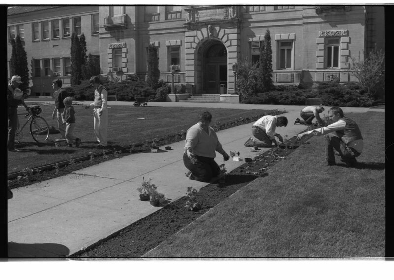 1989 Employees, Planting 15