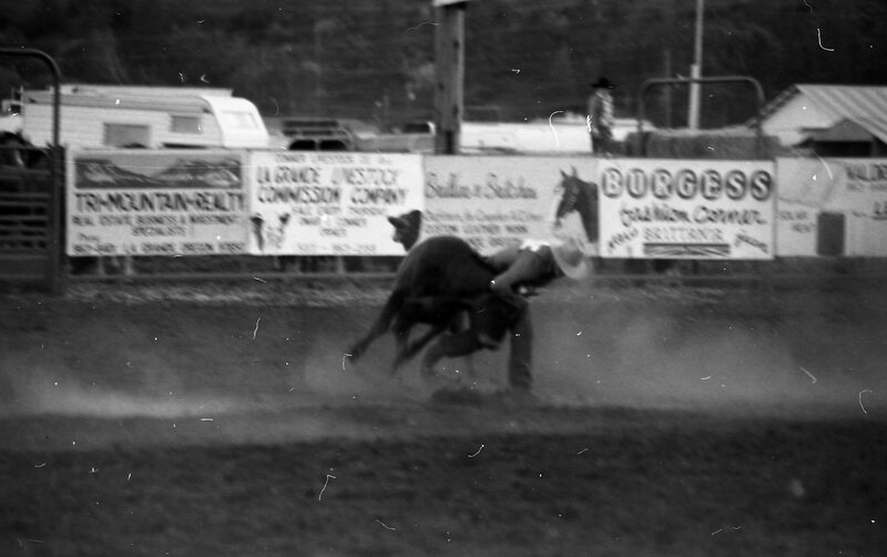 1979 Rodeo, Bulldogging 07