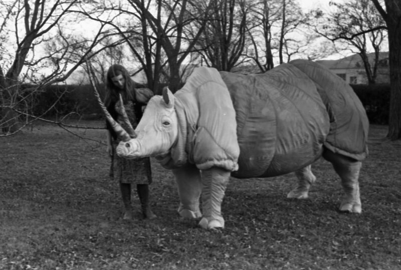 1977 Sculpture, Rhino 05