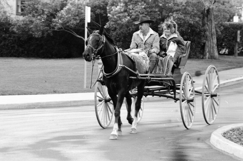 1988 Employee, Jack Johnson Carriage Ride 06