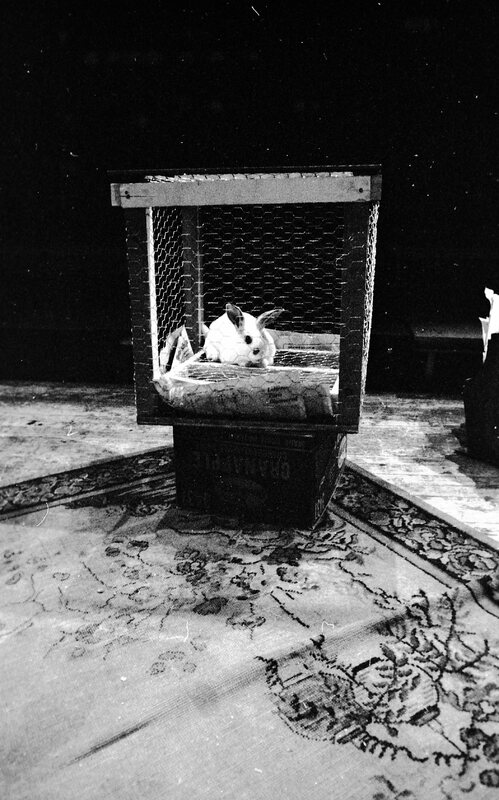 1974 Theatre, Rabbit 09