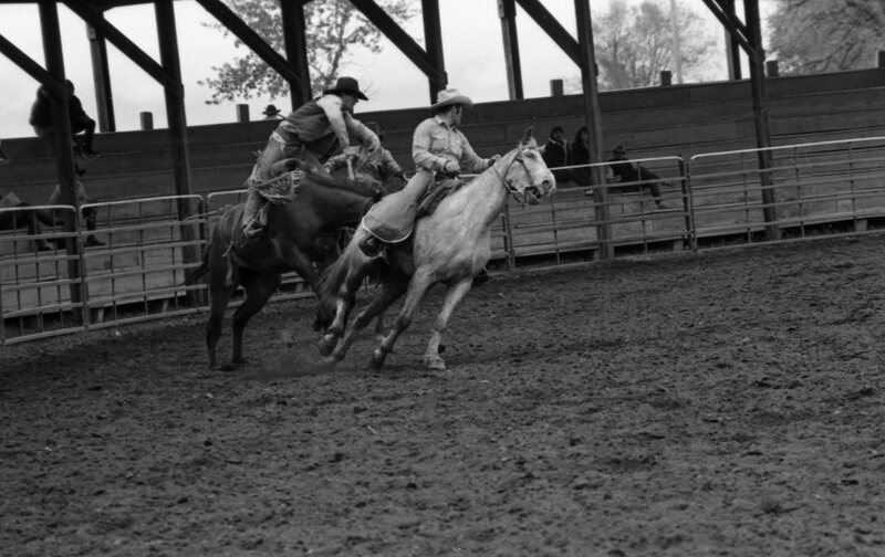 1986 Springfest, Rodeo Bronco Riding 06