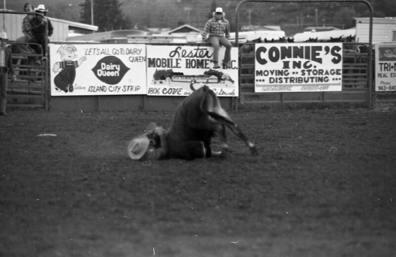 1979 Rodeo, Bulldogging 09