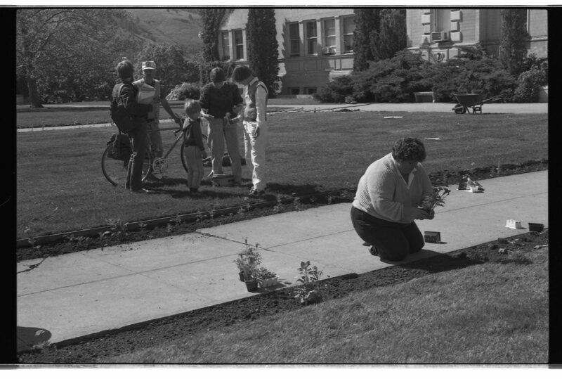 1989 Employees, Planting 16