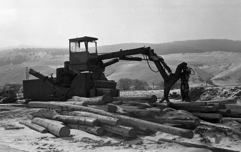 1980 Log Plant 04