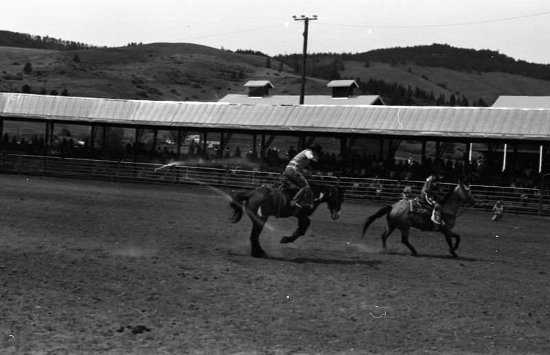 1981 Rodeo, Bronco Riding 02
