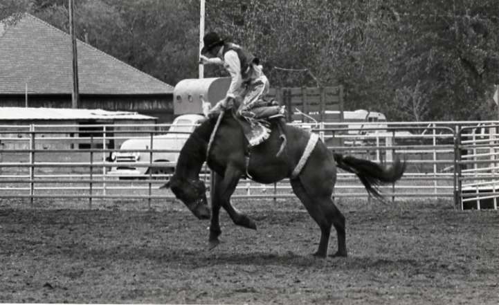 1986 Springfest, Rodeo Bronco Riding 01