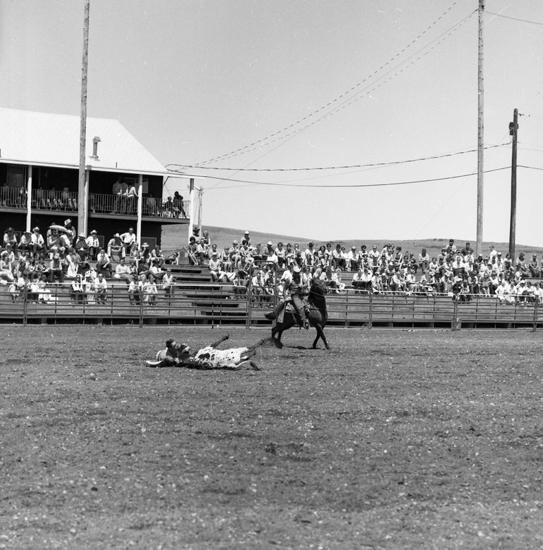 1970 Rodeo, Bulldogging 01