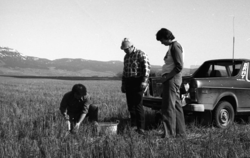 1980 Agriculture Study 01