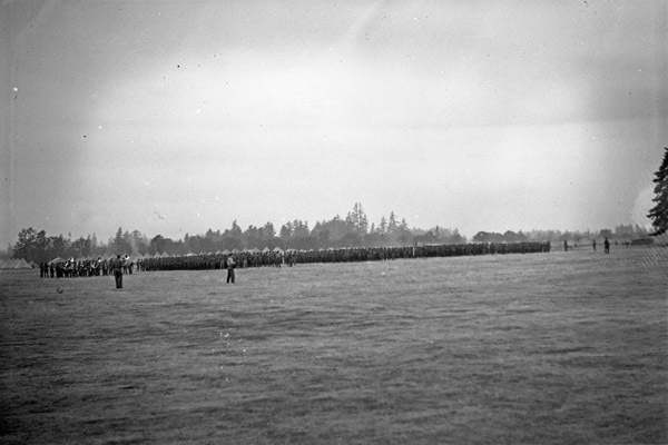 A distant view of dozens, if not hundreds, of soldiers in formation while officers walk in front of them.