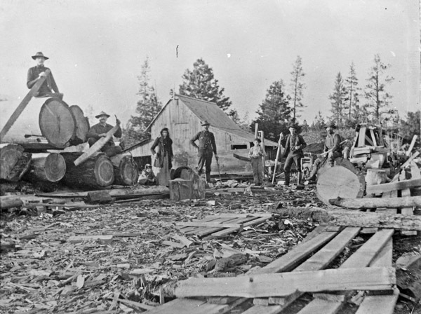 Elgin, McIntyre Sawmill 1