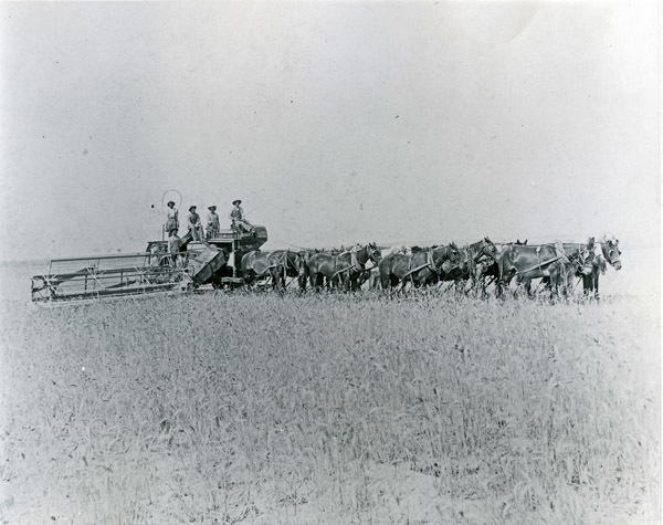 GRV, Threshing Operation 7